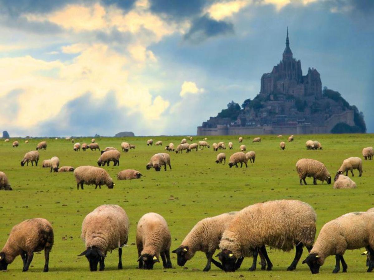 Gite Timeo Mont Saint-Michel Pontorson Eksteriør billede